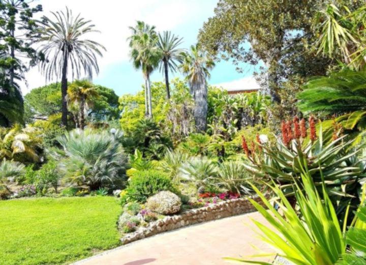 Ampio Appartamento Centrale Sanremo Exteriör bild